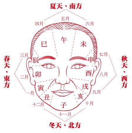 五行面相|五行面相论